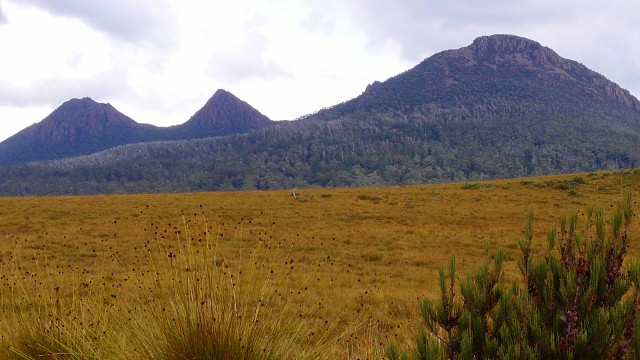 King William's Saddle King William's Saddle