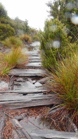 Boardwalk Boardwalk