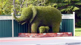 Railton - Town of Topiary Railton - Town of Topiary