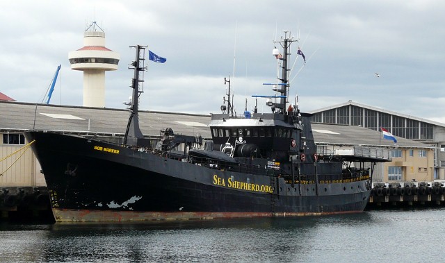 Sea Shepherd Sea Shepherd