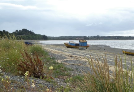 Caulin Bay boat