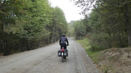 Forest road
