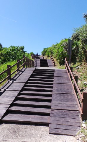 Bike way with steps?