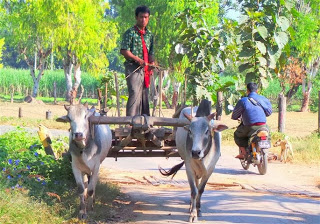 Busy traffic on the road to Inthein