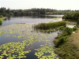 Lagoon_near_Binh_Chau