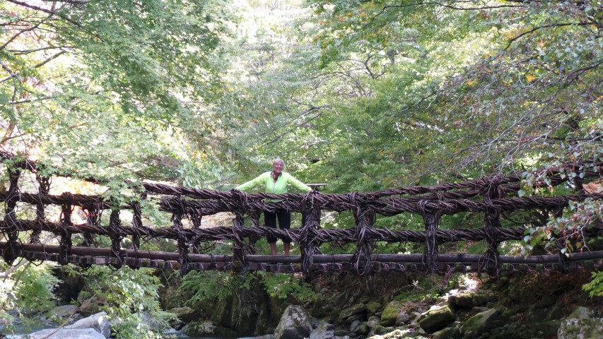 Male Vine Bridge