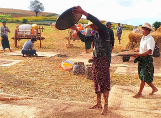 Threshing