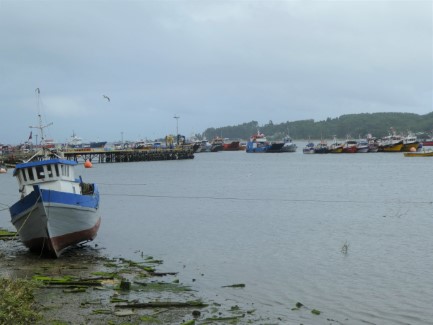 Quellon boats