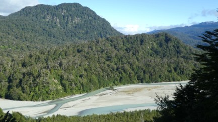 Rio Murta