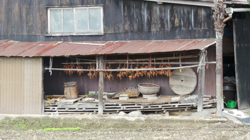 Roadside Barn