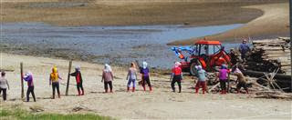 Unloading Bamboo