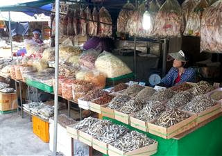 Busan Fish Market