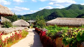 Thatched village houses