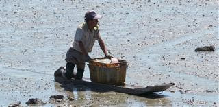 Mud Boat