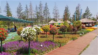 Garden Expo