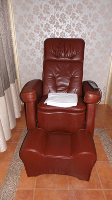 Chair of Pleasure