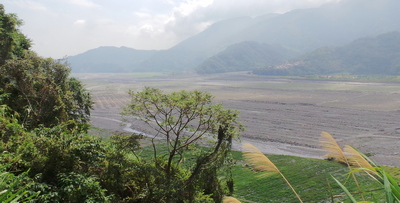 River bed agriculture