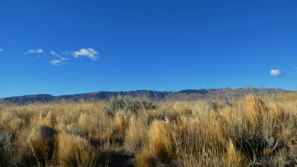Typical Patagonia
