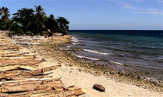 Beach_near_Jagna