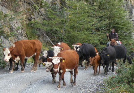 Road to the ferry