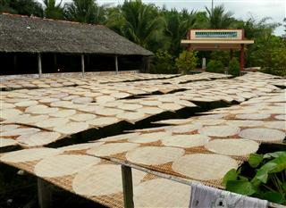 Drying_Rice_Paper