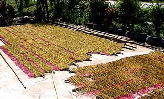 Drying_incense_sticks