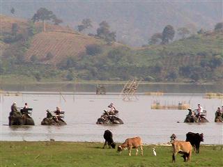 Elephants_in_lake