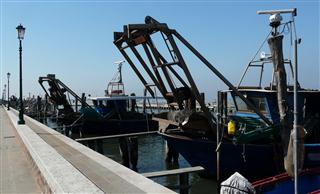 Fishing Boats Pellastrina