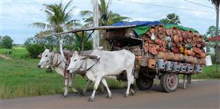 Hardware_Seller Hardware_Seller