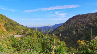 The view from the top of Highway 4