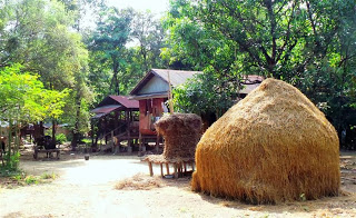 Traditional Karen farmstead