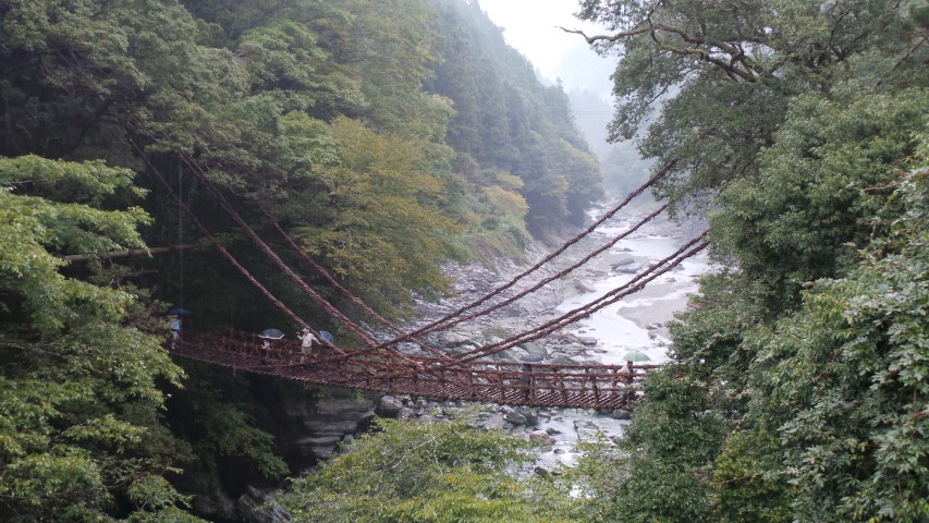 Kazurabashi Vine Bridge