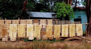 Drying Latex