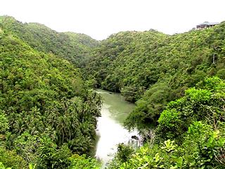 Loboc_zip_line