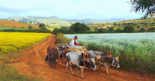 Evening view near Pindaya