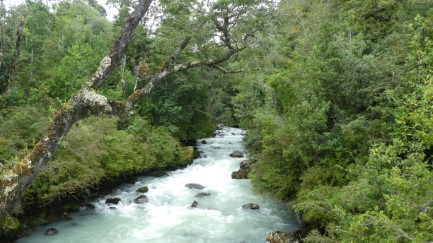 Rain swelled river