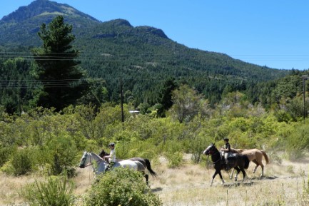 Horse riders, Route 40