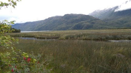 Rio Ano Nuevo