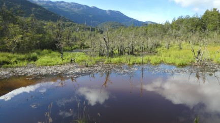 Rio Murta lake