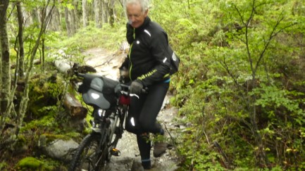 Rain, mud and tree root