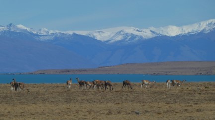 Lago Argentino