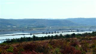 Salt Pans