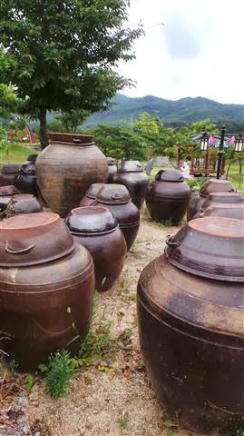 Traditional Fermenting Pots