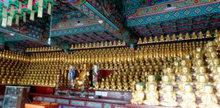 Unju Sa Golden Buddhas