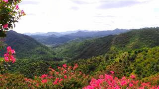 Viewpoint off Highway 7