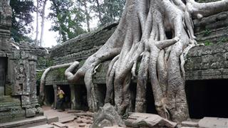 Ta Prohm