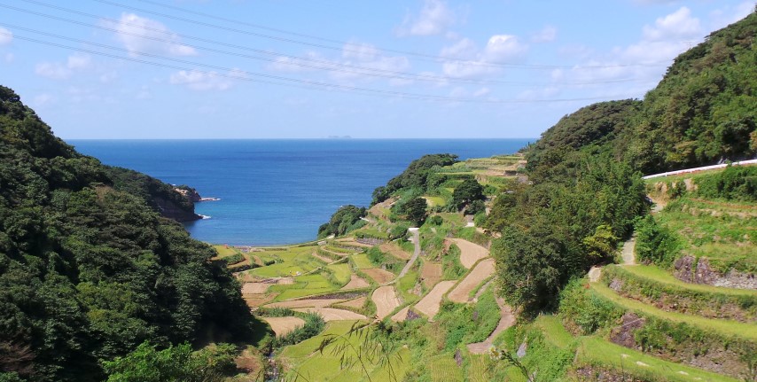 Terraced Fields