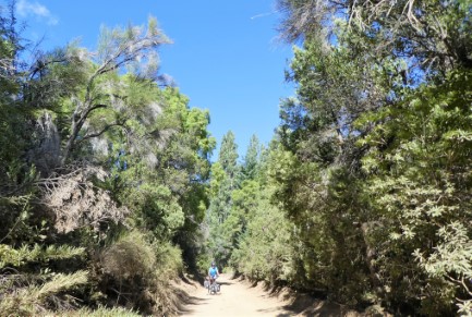 Track from campsite
