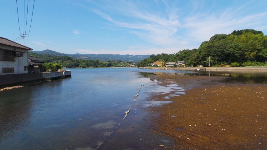 Tranquil Omura Bay