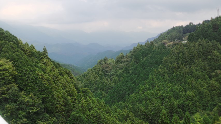 View from the Pass